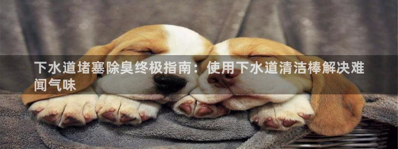 尊龙凯时官网入口：下水道堵塞除臭终极指南：使用下水道清洁