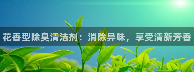 凯时kb88kb88：花香型除臭清洁剂：消除异味，享受清