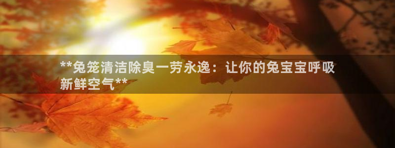 尊龙凯时总部在哪里：**兔笼清洁除臭一劳永逸：让你的兔宝