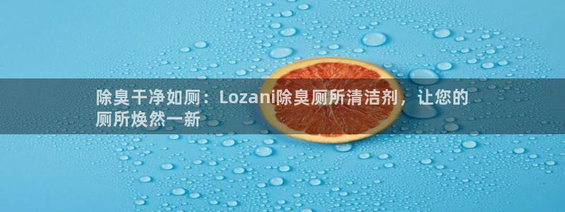 尊龙现金d88：除臭干净如厕：Lozani除臭厕所清洁剂