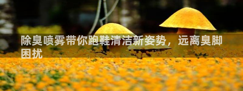 凯时kb88官方