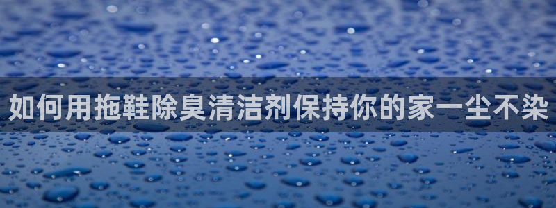 d88尊龙官方网：如何用拖鞋除臭清洁剂保持你的家一尘不染