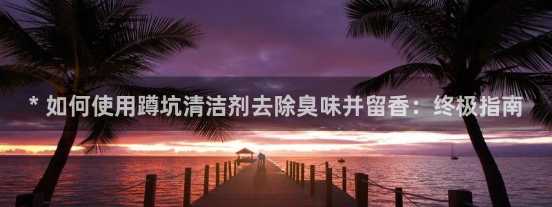 尊龙ag旗舰：* 如何使用蹲坑清洁剂去除臭味并留香：终极