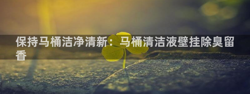 凯时官网下载客户端：保持马桶洁净清新：马桶清洁液壁挂除臭