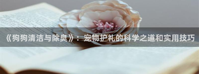 尊龙凯时白家乐Abb下载