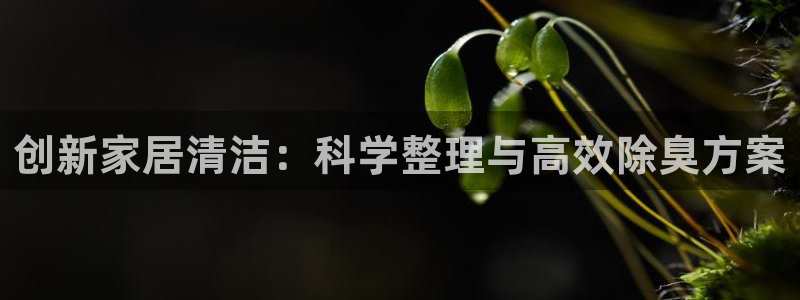 z6尊龙凯时ag旗舰厅