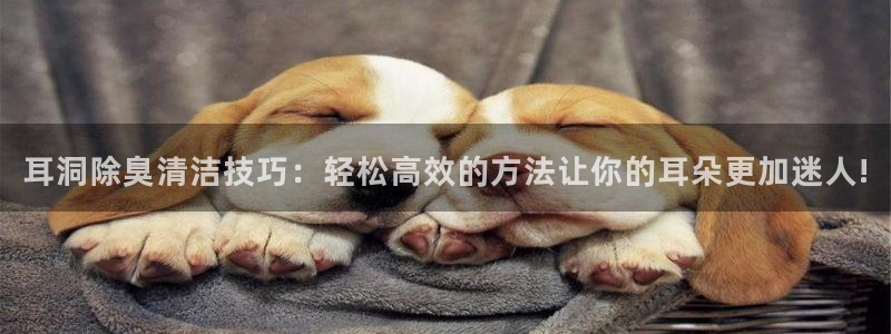 尊龙实业有限公司