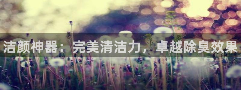 尊龙官方网站是真的吗