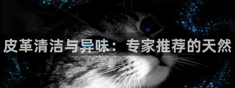 尊龙凯时 - 人生就是搏有假吗