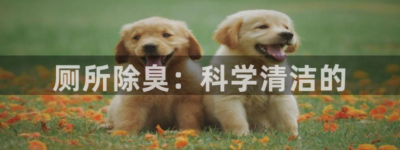 尊龙新版手机app下载