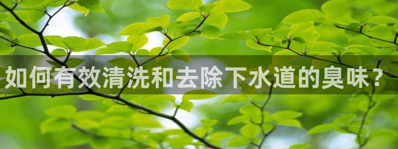 尊龙会ktv价格