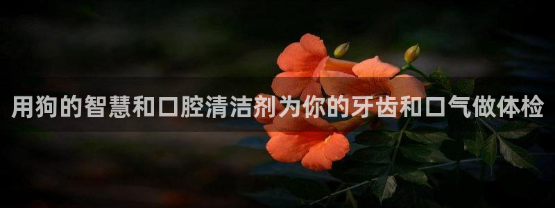 尊龙凯时捕鱼游戏能玩吗