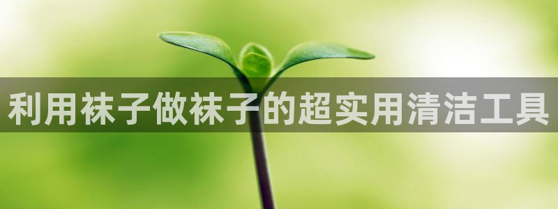 尊龙ag旗舰厅官网官方入口