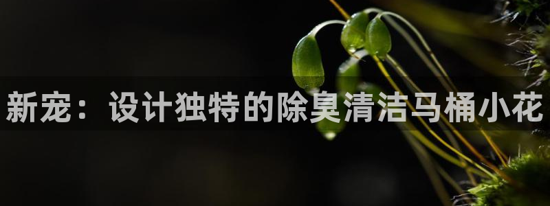 尊龙凯时人生就是搏首页