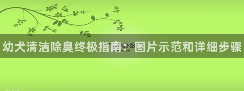 尊龙—人生就是博：幼犬清洁除臭终极指南：图片示范和详细步