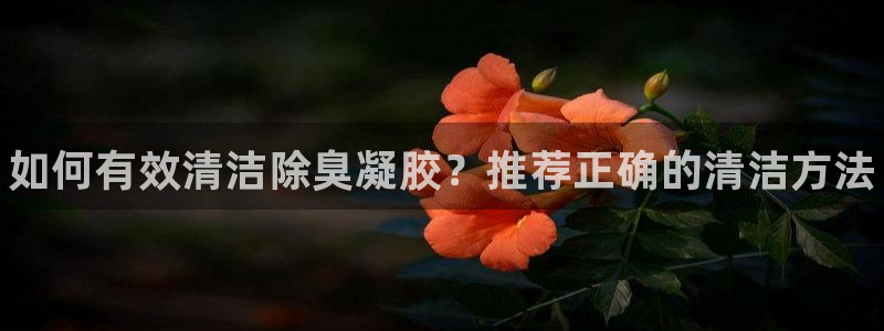 尊龙ag旗舰厅下载