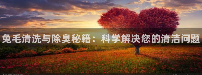 尊龙用现金娱乐一下下载旧
