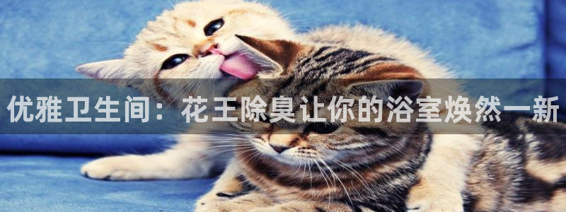 凯时kb88公司简介