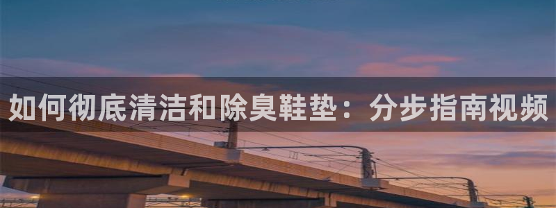尊龙凯时代理：如何彻底清洁和除臭鞋垫：分步指南视频