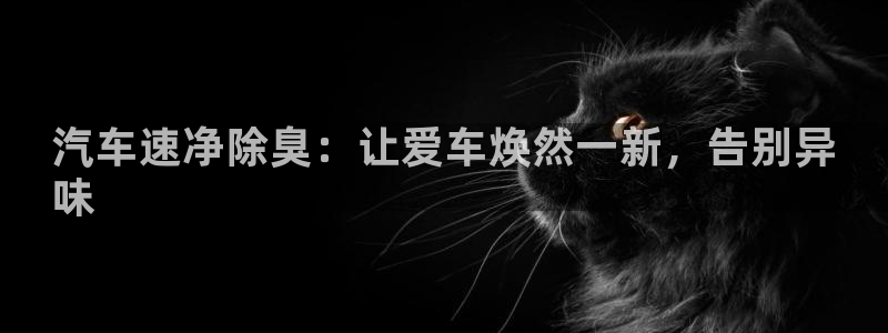 尊龙凯时百家乐手机下载