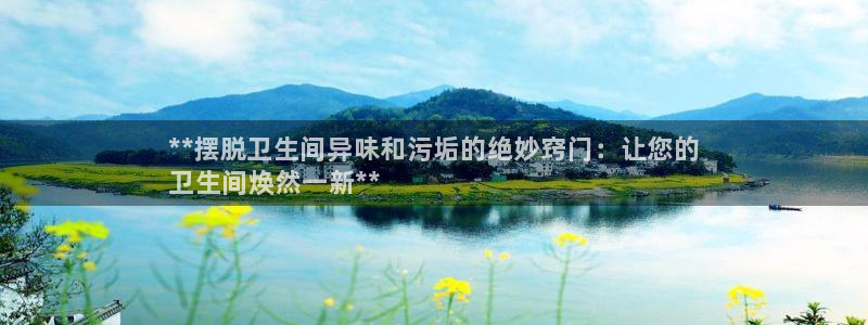 d88尊龙平台开户：**摆脱卫生间异味和污垢的绝妙窍门：