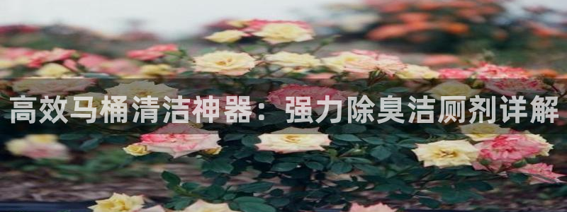 尊龙用现金娱乐一下下载旧