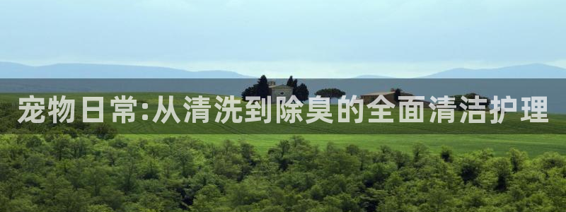 尊龙人生就是博首页：