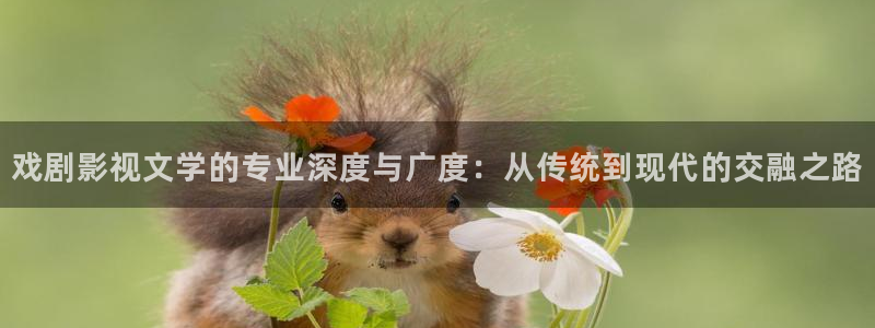 色婷婷影院十八影院：戏剧影视文学的专业深度与广度：从传统到现代的交融之路