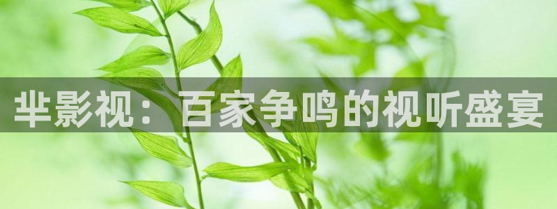 色婷婷电影院：芈影视：百家争鸣的视听盛宴