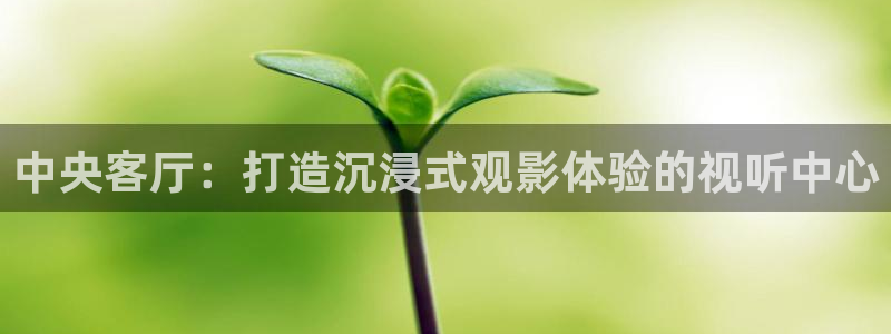 色婷婷电影院：中央客厅：打造沉浸式观影体验的视听中心