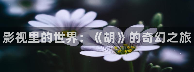 色婷婷电影网：影视里的世界：《胡》的奇幻之旅