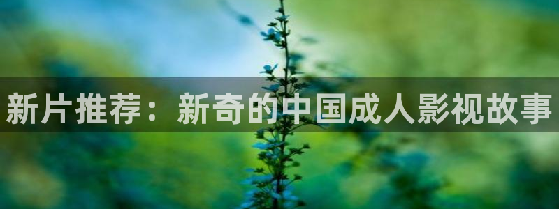 色婷婷亚洲影院：新片推荐：新奇的中国成人影视故事