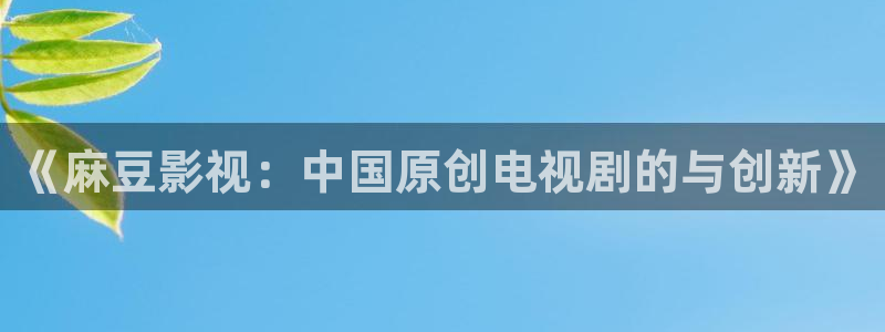 亚洲精品色婷婷在线影院：《麻豆影视：中国原创电视剧的与创新》